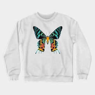 Madagascan Sunset Moth Illustration Crewneck Sweatshirt